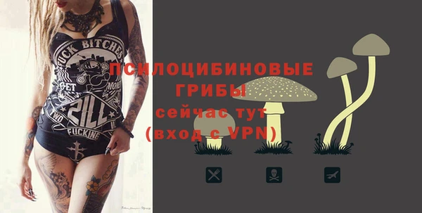эйфоретик Алзамай