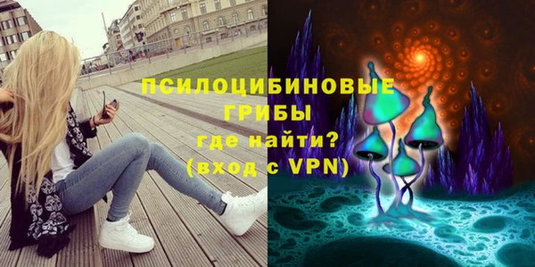 спиды Алексеевка