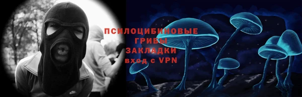 спиды Алексеевка