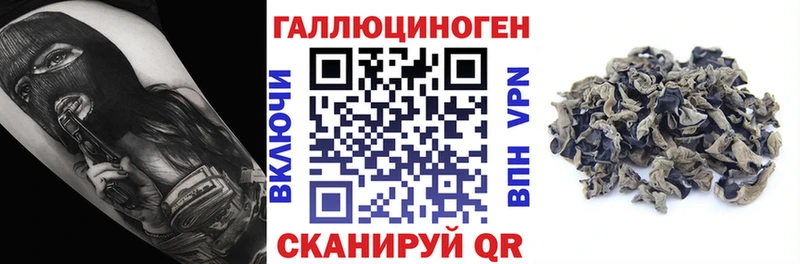 Псилоцибиновые грибы прущие грибы ОМГ ОМГ сайт Покачи